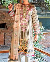 Light Grey Khaddar Suit- Pakistani Winter Dress