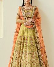 Akbar Aslam Lime Green Net Suit