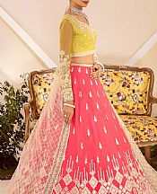 Akbar Aslam Lime/Pink Net Suit- Pakistani Chiffon Dress