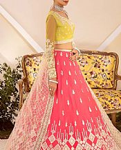 Akbar Aslam Lime/Pink Net Suit