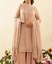 Tea Rose Chiffon Suit